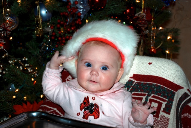 2008-11-28-09 Sydney early Christmas at Grandmas.jpg